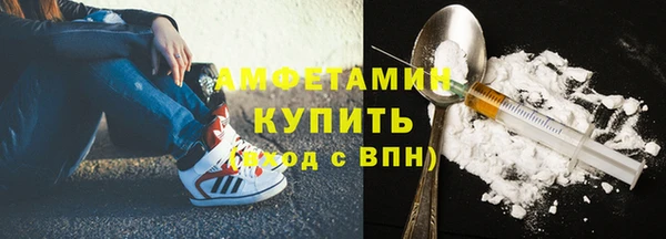 гидра Новодвинск