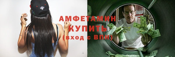 гидра Новодвинск