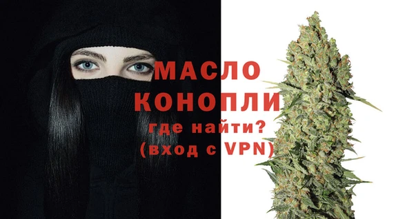 гидра Новодвинск