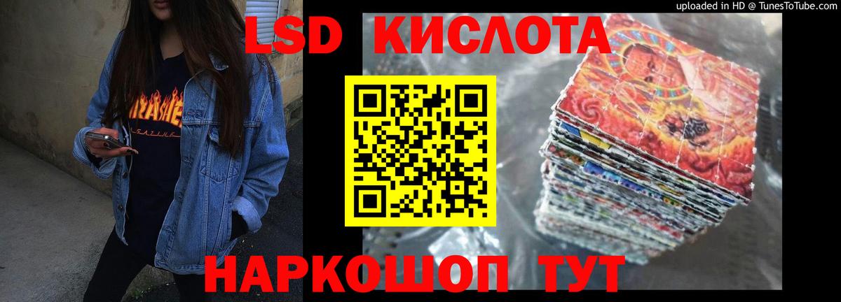LSD-25 экстази  Бердск  blacksprut онион  Лсд 25 экстази ecstasy 