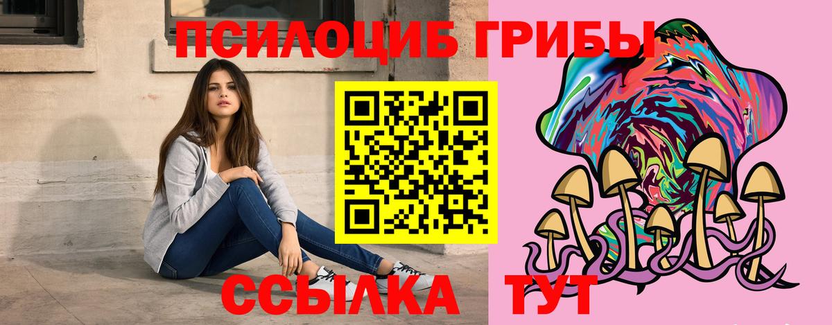 Псилоцибиновые грибы GOLDEN TEACHER  Вход с VPN  Бердск 