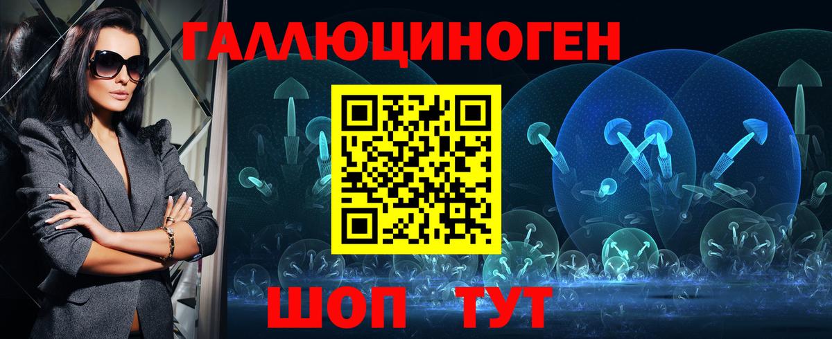 Псилоцибиновые грибы Psilocybine cubensis Бердск